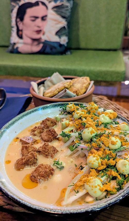  at Agave Studio in Puerto Ayora