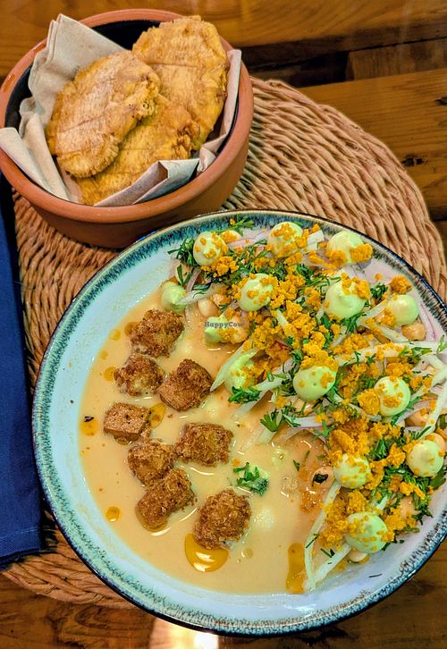  at Agave Studio in Puerto Ayora