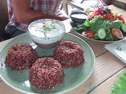 3 portions of rice and vegan green curry, yum! at Imm Aim Vegetarian and Bike Cafe in Chiang Mai