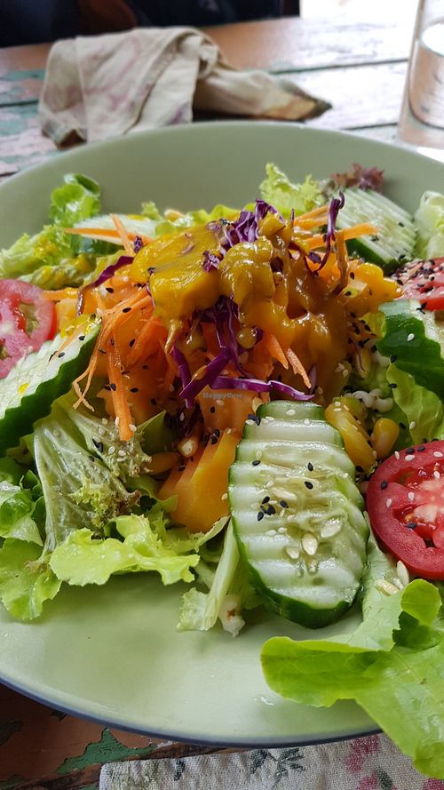 Salad at Imm Aim Vegetarian and Bike Cafe in Chiang Mai