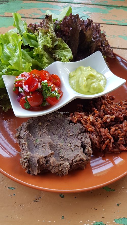 . at Imm Aim Vegetarian and Bike Cafe in Chiang Mai