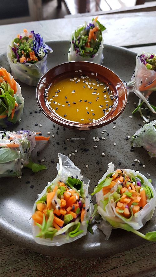Fresh spring rolls at Imm Aim Vegetarian and Bike Cafe in Chiang Mai