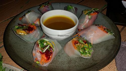 spring rolls at Imm Aim Vegetarian and Bike Cafe in Chiang Mai