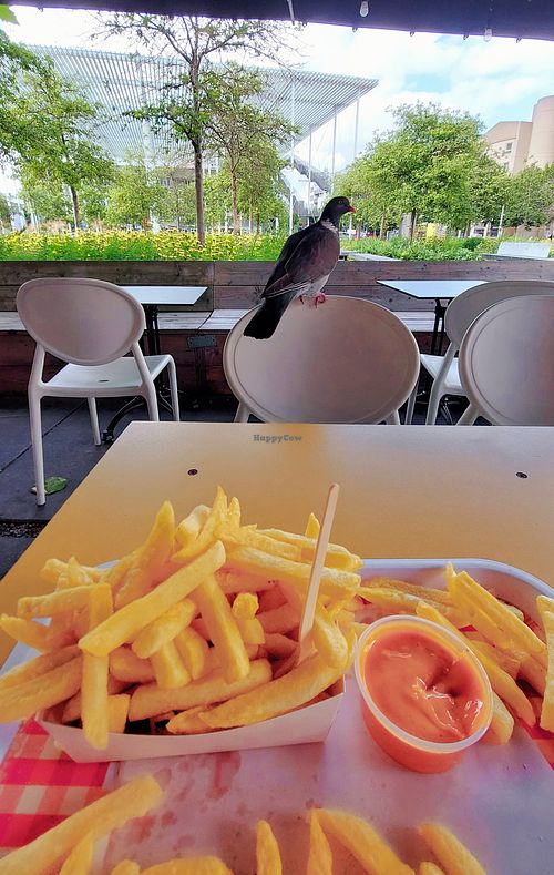  at Frituur De Petaat in Antwerpen