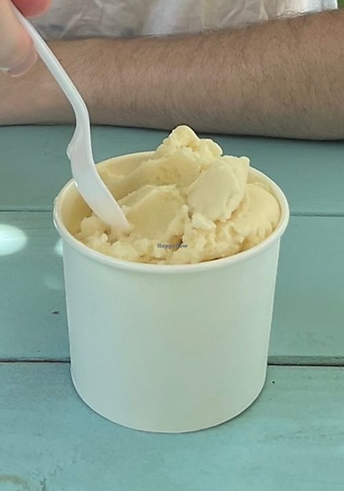 Large cup lemon sorbett  at The Corner Cone in Yellow Springs