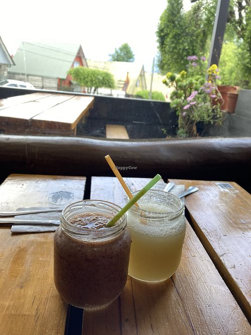 Murta+Orange and Nalca juices, delicious  at Patagonia Natural in Panguipulli