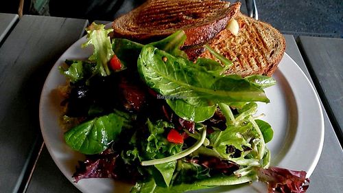 Avo campania with green bliss salad at Green Bliss - the Cafe in Fullerton