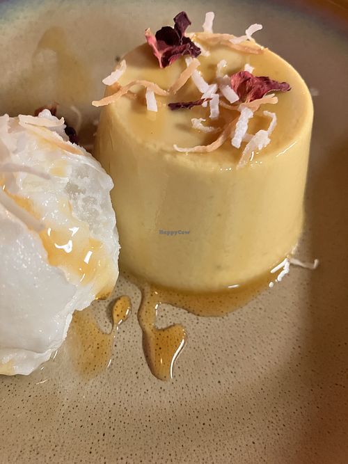 Mango-coconut panna cotta and lime sorbet  at Colombo Social in Enmore