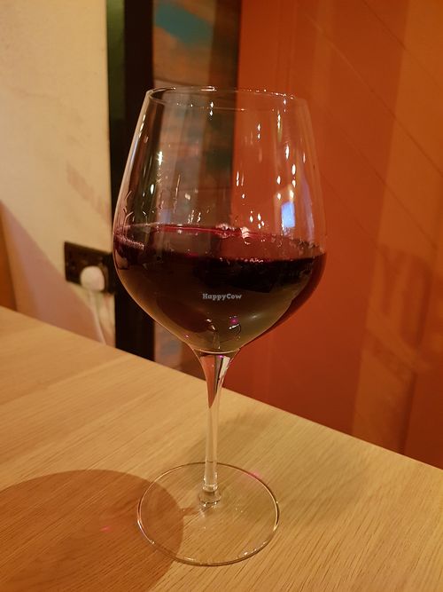 Cramele Recas Pinot Noir (VG) #Veganuary at My Delhi Sunderland Indian Restaurant in Sunderland