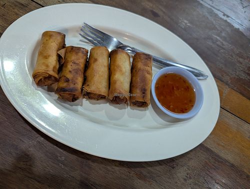 Spring rolls at Life Style Thai Food in Koh Phangan