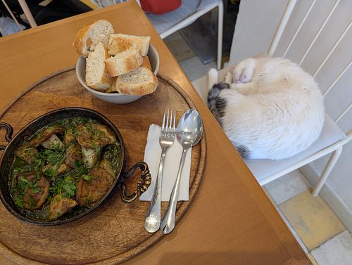 My dining companion fell asleep at bleue! in Tunis