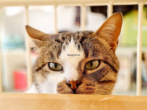 Handsome company! at bleue! in Tunis