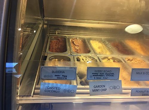 Vegan ice cream options  at French Broad Chocolate Lounge in Asheville