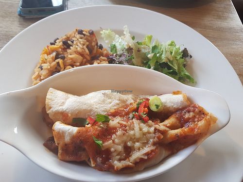 Vegan enchiladas at Hungry Horse - The Gold Medal in Gateshead