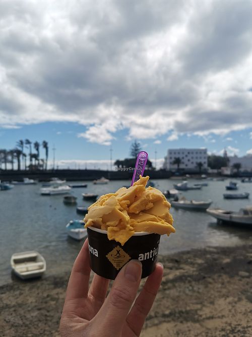  at Antiu Xixona in Lanzarote