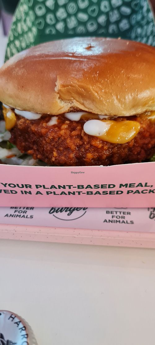 Crispy Chicken at Neat Burger - Dubai Mall in Dubai