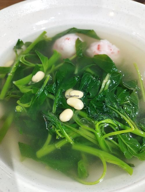 Delish YTF soup with soy beans. at Daily Green 吉祥素 - Hougang in Northeast Singapore