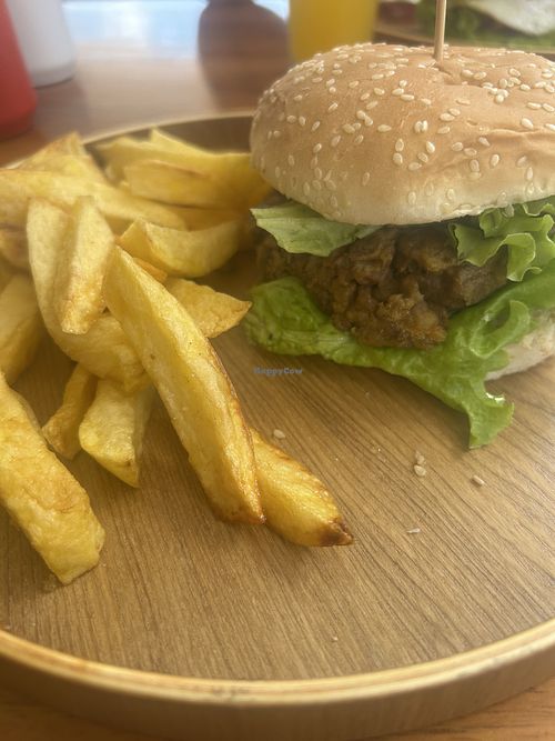   at El Rincon De Sebas in Puerto Baquerizo Moreno