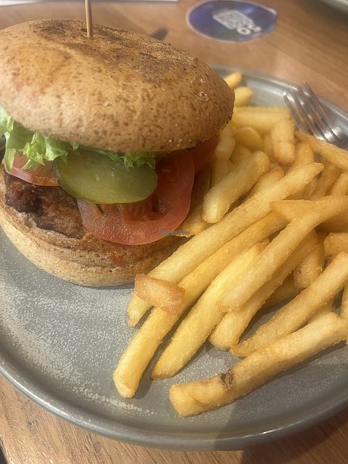   at ADL - 100 Miles in Adelaide