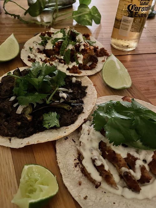 Tacos  at Herbívora in Oaxaca