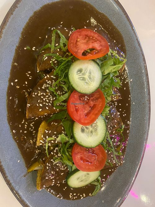 Vegan Mole Enchiladas at Casa Maya  in Merida