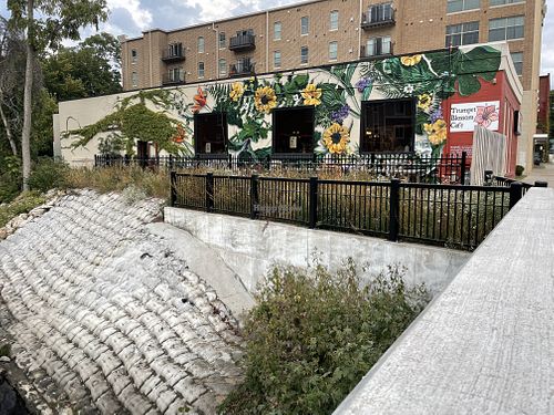   at Trumpet Blossom Cafe in Iowa City