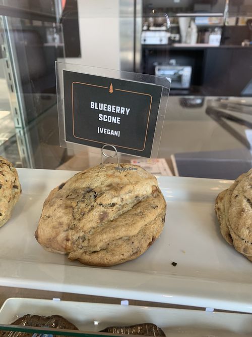 Vegan scone  at Trees Organic Coffee in Vancouver