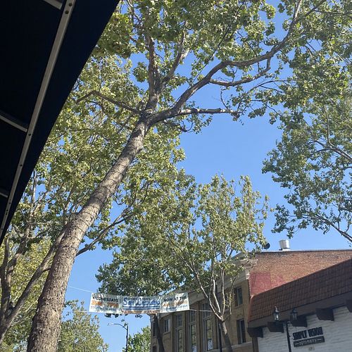 Farmers Market Signage Near Previous Location  at Downtown Farmers' Market in San Leandro