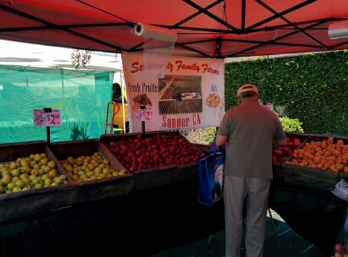 conventional at Belmont Farmers' Market in Belmont