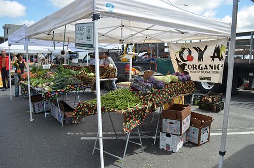 April 2016 at College of San Mateo Farmers' Market in San Mateo