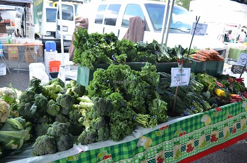 Shinto's Pet Food at College of San Mateo Farmers Market