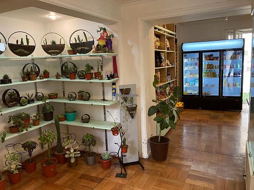 plant shop at Casa Pirita in Santiago