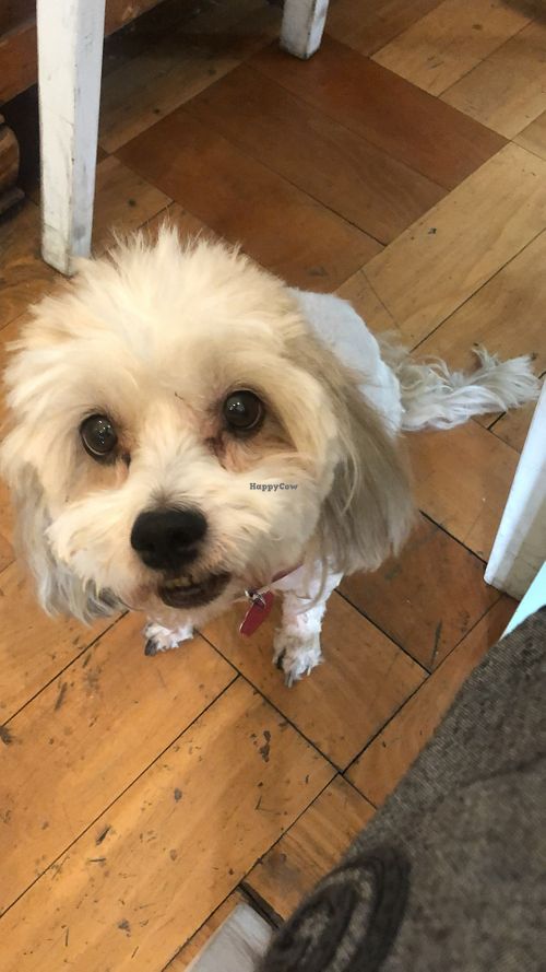 security at Casa Pirita in Santiago