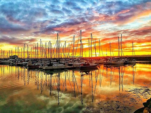 Sunrise Carrickfergus Marina at The Windrose Bar and Restaurant in Carrickfergus