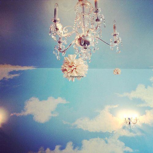 Sky Apple at Sky Apple Cafe in Newcastle Upon Tyne