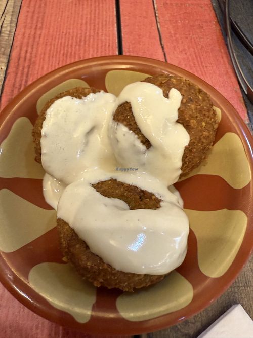 Courtesy falafel 😍  at Hallo Beirut in Zurich