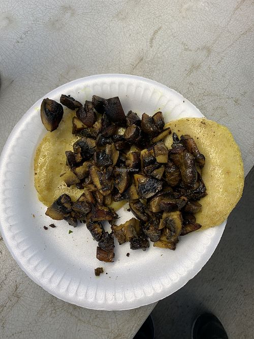 White mushroom taco without toppings   at hippiestacos in Long Beach