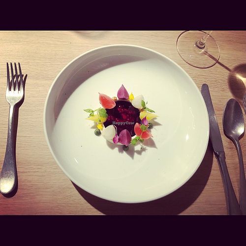 Radish  at Elmira in Zurich