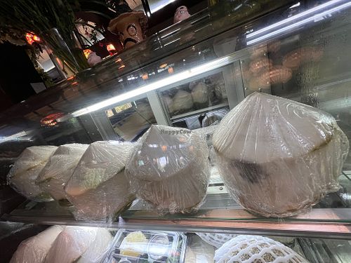 Fresh Coconuts at Sala Cafe - ศาลากาแฟ in Chiang Mai