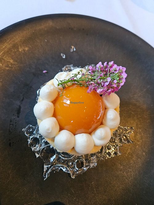 Summer Menu apricot petit at Crossroads Kitchen in Calabasas