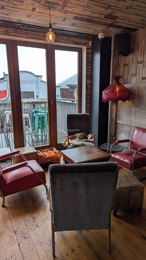 Upstairs - with cat at Eruption Brewing in Lyttelton