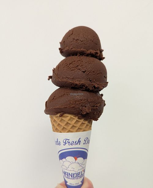 chocolate oat milk at Handel's Homemade Ice Cream in Royersford