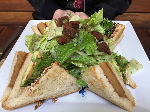 club sandwich with Caesar salad at Real Food Daily - Pasadena in Pasadena