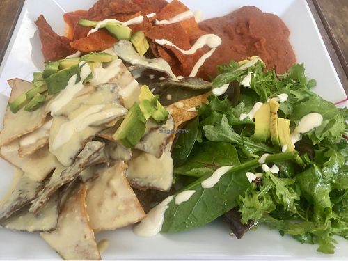 Chilaquiles  at Real Food Daily - Pasadena in Pasadena