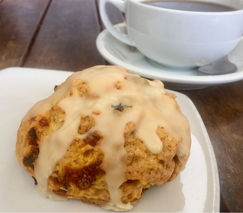 Orange gojiberry scone at Real Food Daily - Pasadena in Pasadena