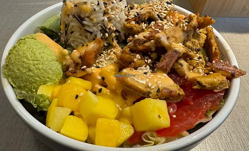   at Katzentempel - Bochum in Bochum