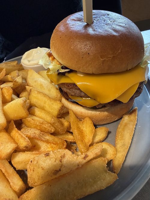 cheeseburger  at Katzentempel - Bochum in Bochum