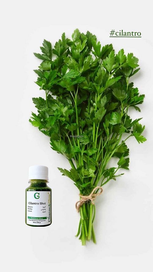Cilantro shot at Cleanse & Glow in Jeddah
