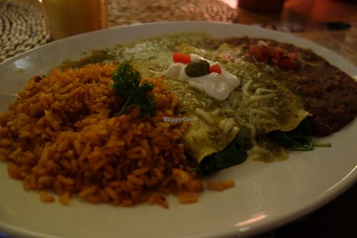 Enchiladas Verdes (vegan) at CAFE ESPECIAL in Saarbrucken