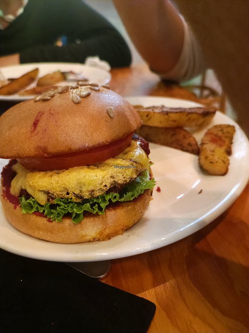  at Salvei in Playa Del Carmen